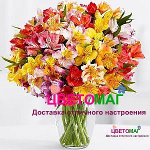 Букет 21 альстромерия микс
