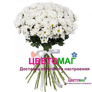 Букет 25 белых ромашек