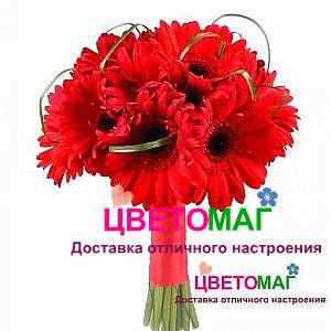 Свадебный букет "Лучик"из 11 гербер