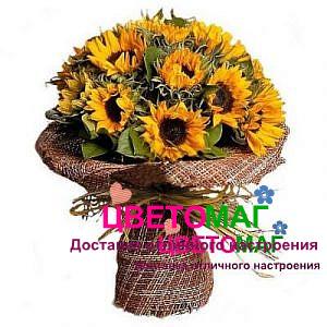 Монобукет из 13 подсолнухов в мешковине