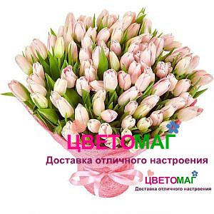 Букет из 101 розового тюльпана