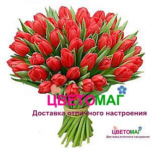 Букет из 101 тюльпана красного цвета
