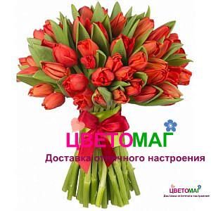 Букет из 51 красного тюльпана