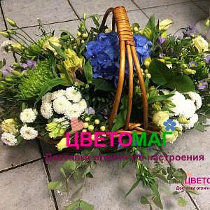 Корзина с синей гортензией и зеленой хризантемой