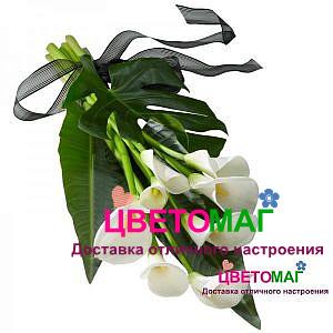 Букет из беллых калл