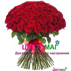 Букет из 101 красной розы  Freedom 60 см (Эквадор)