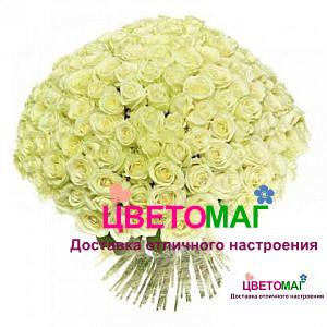 Букет 101 белая роза Mondial 60 см (Эквадор)