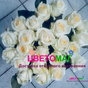 Букет 25 роз  Creme de la Creme (Эквадор) 50 см