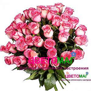 Букет 51 роза  Carousel 60 см (Эквадор)