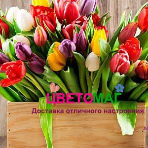Ящик с 35 тюльпанами микс