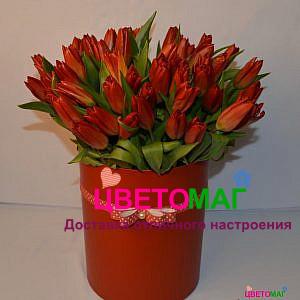 Коробка из 35 красных тюльпанов