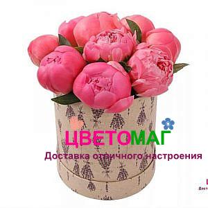 Шляпная коробка из 11 коралловых пионов