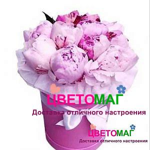 Шляпная коробка из 11 розовых пионов