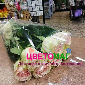 Букет 7 розовых роз  Esperance 70 см (Эквадор)