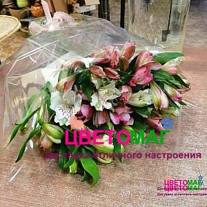 Букет 19 разноцветных альстромерий